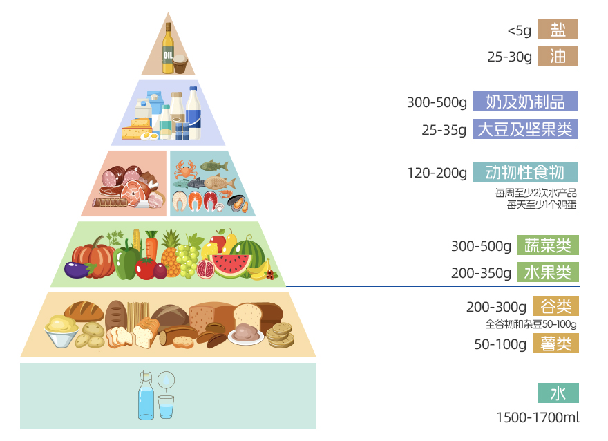跟著“居民平衡膳食寶塔”學習如何合理搭配每日餐食